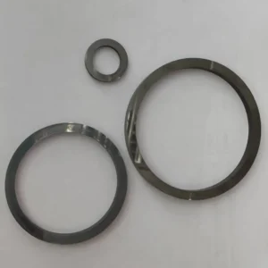 Ring1